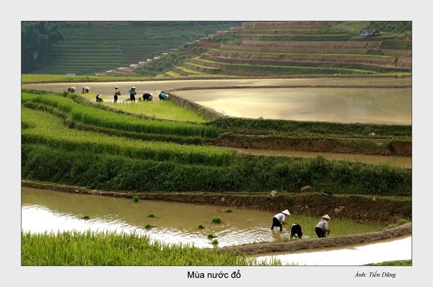 Mua nuoc do o Tay Bac hinh anh 17